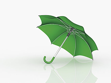绿色,伞
