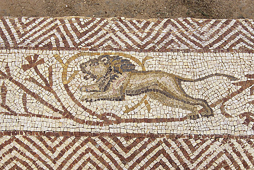 利比亚,靠近,的黎波里,别墅,罗马,二世纪,镶嵌图案,狮子