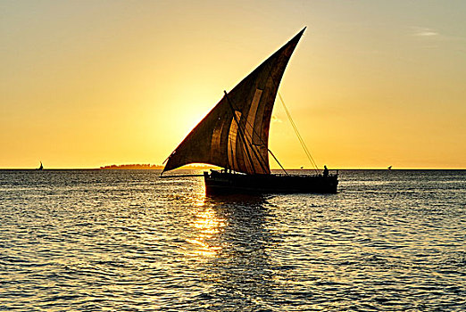 船,海洋,日落,桑给巴尔岛,城市,坦桑尼亚,非洲