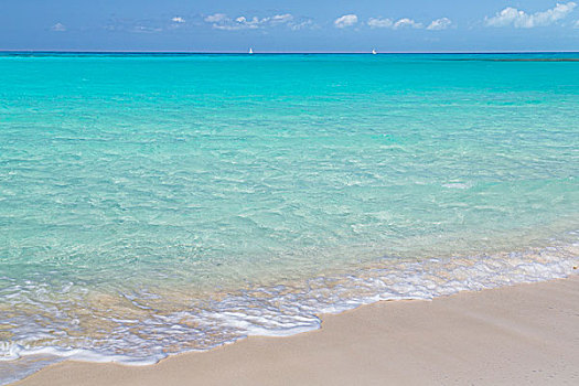 巴哈马,小,岛屿,海洋,海浪,海滩,画廊