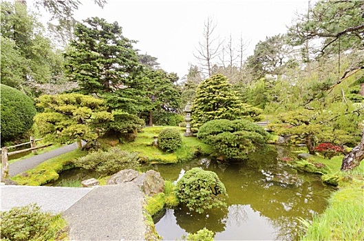 日本茶,花园,旧金山