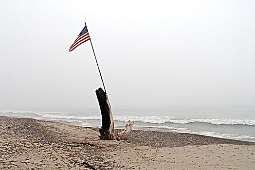 美洲,旗帜,扎牢,烧,室外,树,树桩,雾状,太平洋,海洋,海滩,加利福尼亚,美国