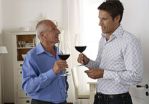 父亲,儿子,葡萄酒,饮料,客厅