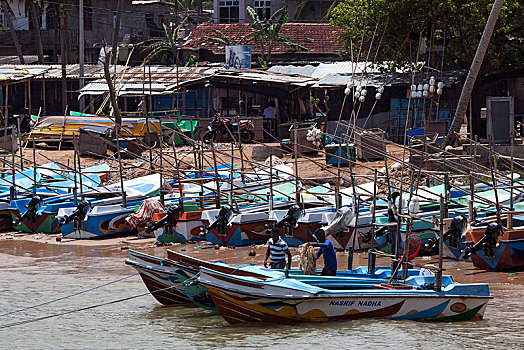 渔船,港口,布鲁维拉,西部,省,斯里兰卡,亚洲