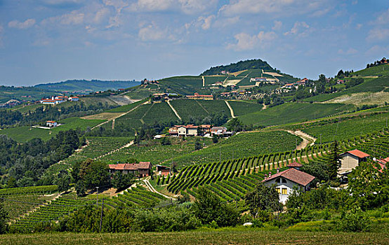 景色,俯视,农场,葡萄园,意大利