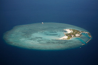 珊瑚岛图片