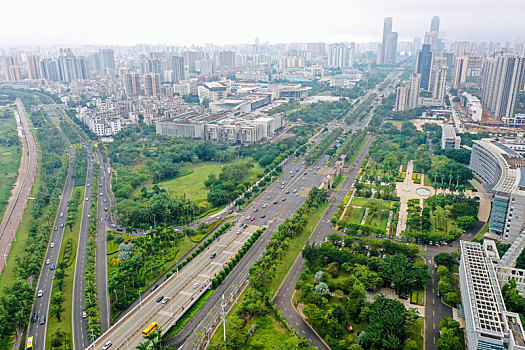 航拍海南海口国兴大道与滨江路道路街景,椰子树棕榈树等热带植物行道树