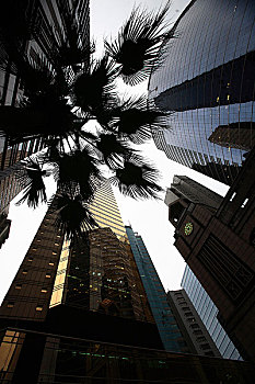 香港回归十周年图片展览－香港建筑