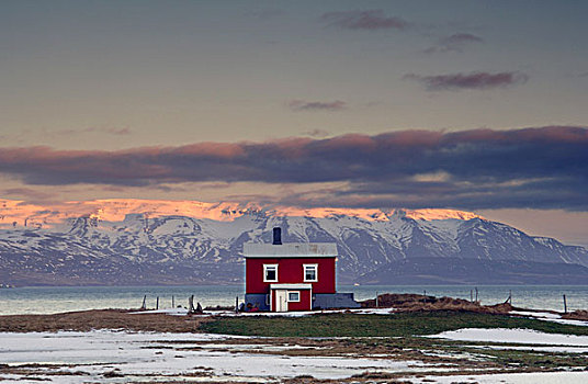 小屋,北方,冰岛,欧洲
