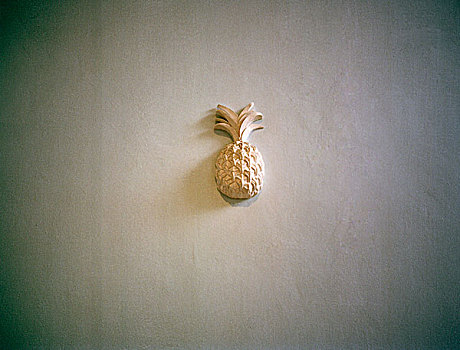 菠萝,浮雕