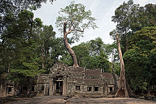 柬埔寨,吴哥,塔普伦寺,庙宇