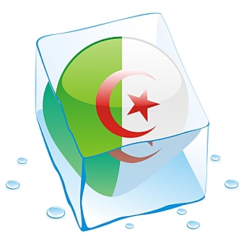 阿尔及利亚,旗帜,冰冻,冰块