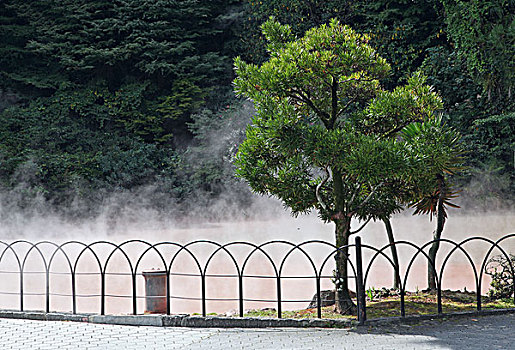 日本九州大分县血池地狱,chinoikejigokubloodpondhell