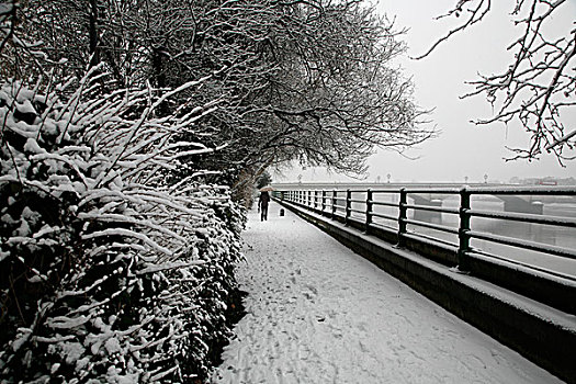 雪,泰晤士河,小路,主教,公园,伦敦,英国