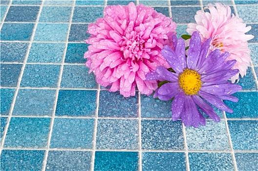 花,浴室