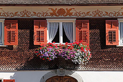 窗户,花,布西根泽瓦德,房子,布雷根茨,树林,奥地利,欧洲
