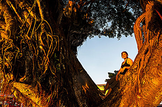 女孩,站立,巨大,古树,日落,市区,乌波卢岛,萨摩亚群岛,南太平洋