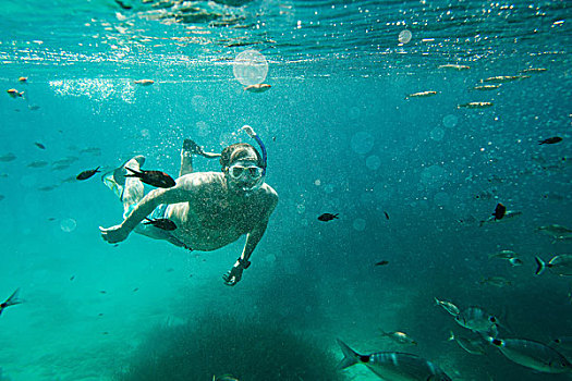 水下视角,成熟,男人,潜水,米诺卡岛,巴利阿里群岛,西班牙