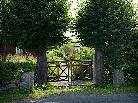 风景,街道,乡村,木质,花园,大门,树,球体,冠