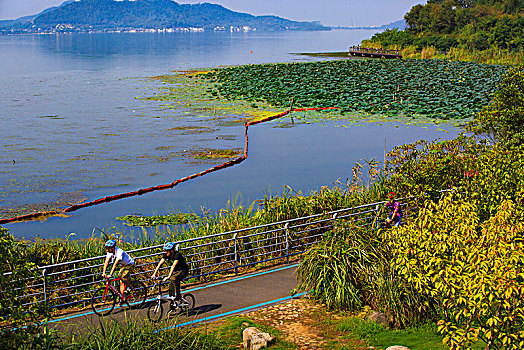 东钱湖,环湖,生态,骑行,运动,自行车,水岸