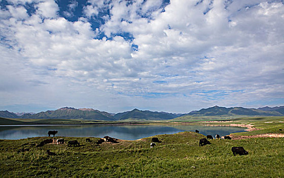 山丹祁连山军马场美景