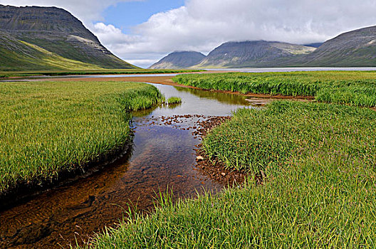 溪流,湾,冰岛,欧洲