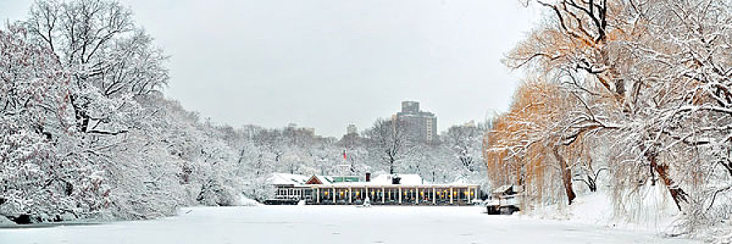 中央公园,全景,冬天,曼哈顿中城,纽约