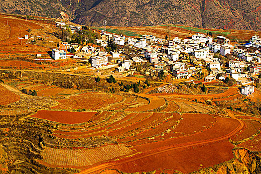 东川红土地