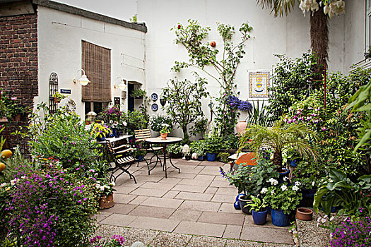 院落,多样,植物,陶瓷,罐,小酒馆,桌子,椅子,背景