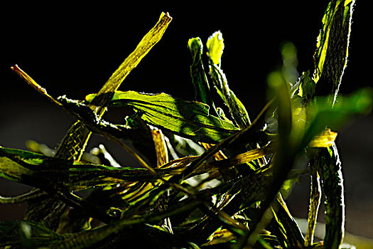 绿茶太平猴魁,茶叶