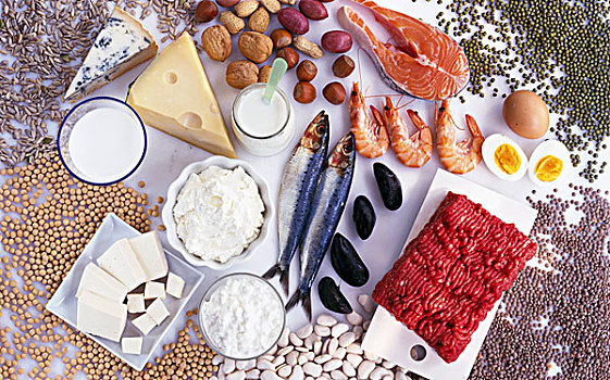 蛋白质丰富,食物,鱼肉,肉,蛋,乳制品,坚果