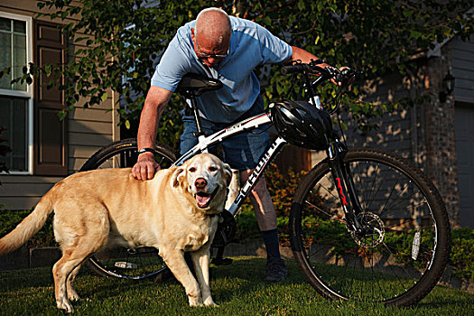 美国,俄勒冈,拉布拉多犬,自行车