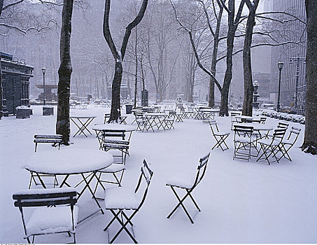公园,冬天,纽约,美国
