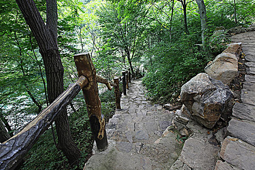 天津,蓟县,梨木台,风景区