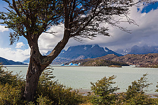 智利,麦哲伦省,区域,托雷德裴恩国家公园,灰色,冰川冰,黄昏
