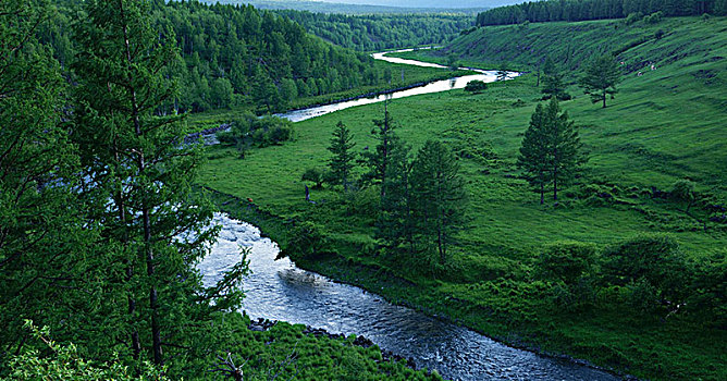 河流,山谷,树木