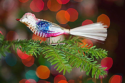 俄勒冈,美国,鸟,装饰,圣诞树