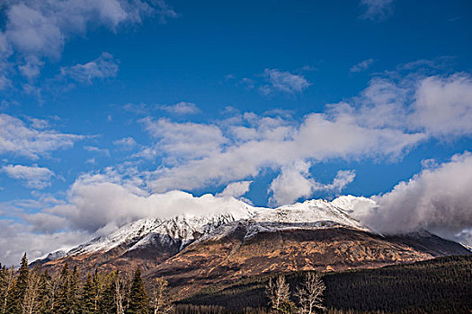 风景,安克里奇,阿拉斯加,美国