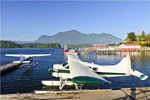 海洋,飞机,码头,温哥华岛,加拿大