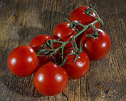 西红柿,圆锥花序,木板