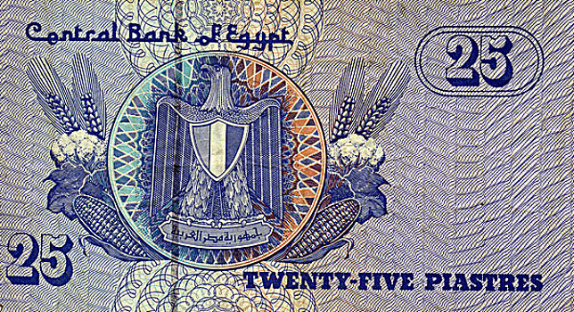 货币,埃及,外套,手臂,2004年