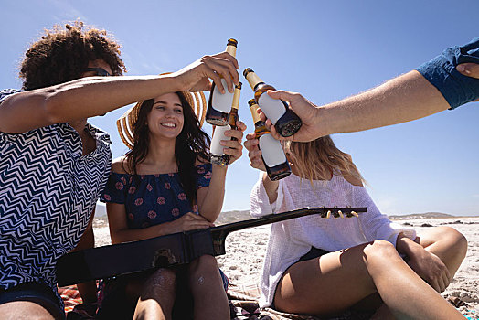 群体,朋友,祝酒,啤酒瓶,海滩,阳光