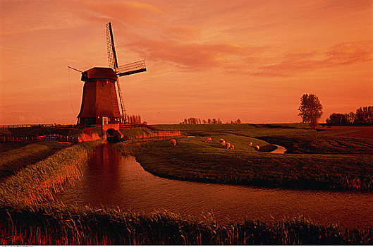 风车,日落,荷兰