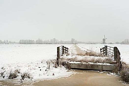 桥,上方,雪,河