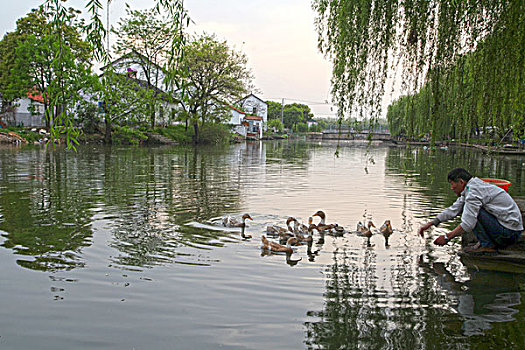 锦溪,古镇,建筑,江南,水乡,小桥,桥梁,河流,河道,渔舟,渔船,小巷,风情,风光,旅游,景点,古色古香,民居45