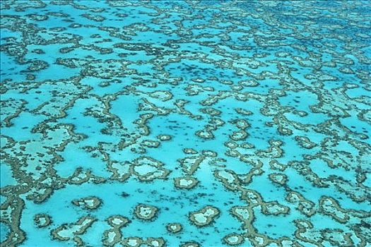 航拍,珊瑚礁,岛屿,澳大利亚