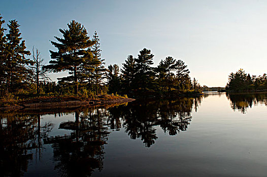反射,树,湖,木头,安大略省,加拿大