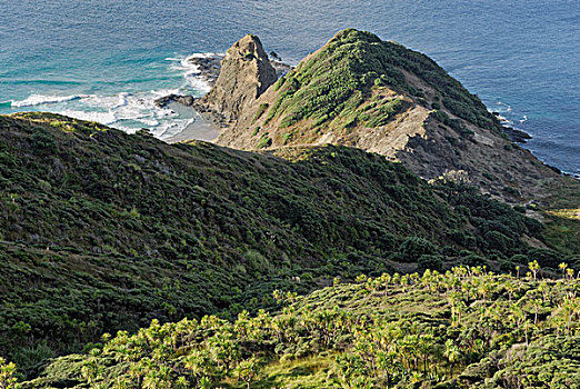 岩岬,雷因格海角,北岛,新西兰