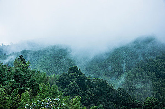 雨雾山景