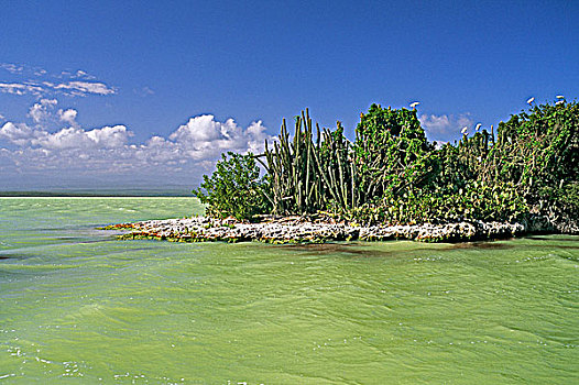 多米尼加共和国,国家公园,泻湖,奥维耶多